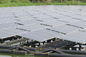 320W मोनो सौर पैनल मछली तालाब आवासीय सौर ऊर्जा प्रणालियों 3.2 मिमी मोटा टेम्पर्ड ग्लास
